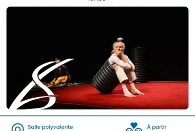 Spectacle « Toyo »